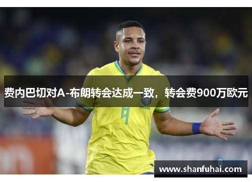 费内巴切对A-布朗转会达成一致，转会费900万欧元